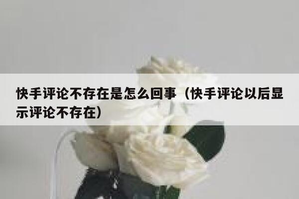 快手评论不存在是怎么回事（快手评论以后显示评论不存在） 第1张