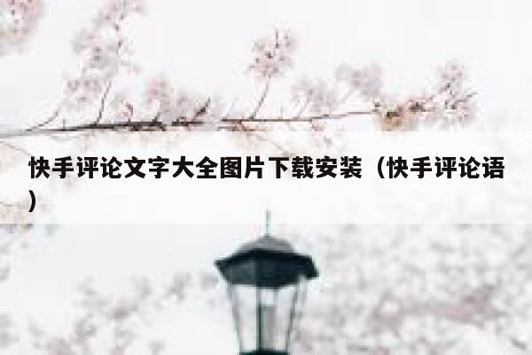 快手评论文字大全图片下载安装（快手评论语） 第1张