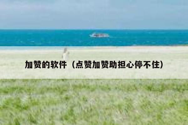 加赞的软件（点赞加赞助担心停不住） 第1张