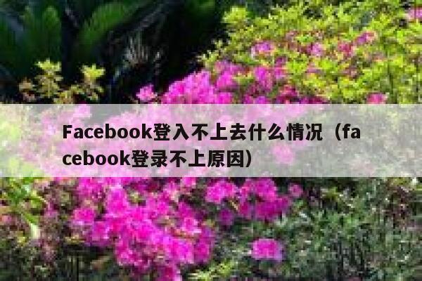Facebook登入不上去什么情况（facebook登录不上原因） 第1张