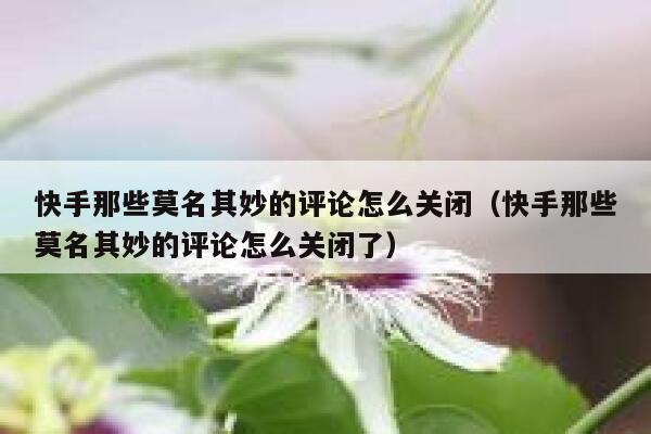 快手那些莫名其妙的评论怎么关闭（快手那些莫名其妙的评论怎么关闭了） 第1张