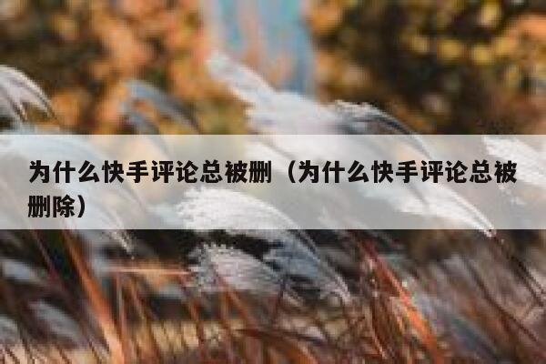 为什么快手评论总被删（为什么快手评论总被删除） 第1张