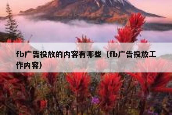 fb广告投放的内容有哪些（fb广告投放工作内容） 第1张