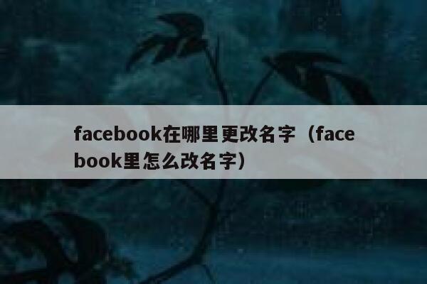 facebook在哪里更改名字（facebook里怎么改名字） 第1张