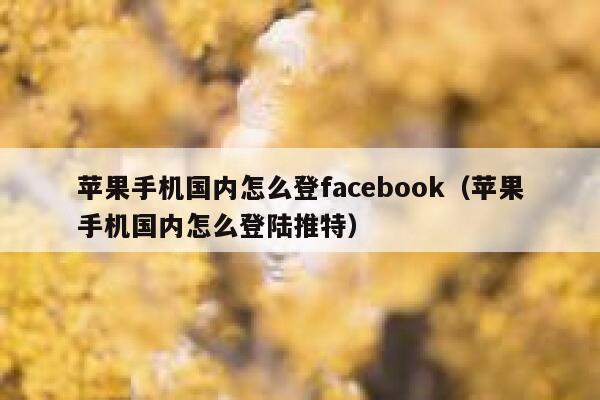 苹果手机国内怎么登facebook（苹果手机国内怎么登陆推特） 第1张