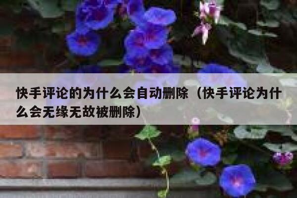 快手评论的为什么会自动删除（快手评论为什么会无缘无故被删除） 第1张