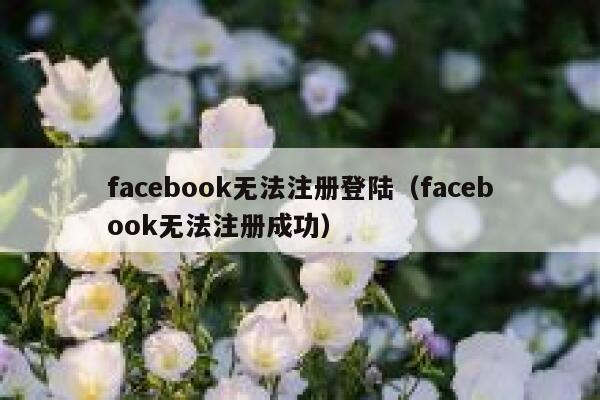 facebook无法注册登陆（facebook无法注册成功） 第1张