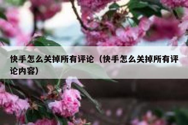 快手怎么关掉所有评论（快手怎么关掉所有评论内容） 第1张