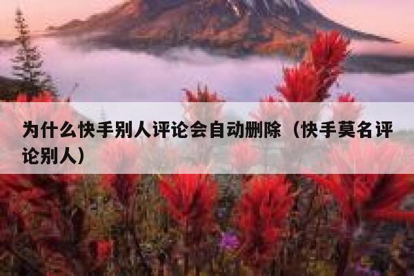 为什么快手别人评论会自动删除（快手莫名评论别人） 第1张