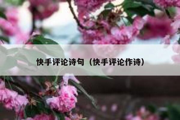 快手评论诗句（快手评论作诗） 第1张