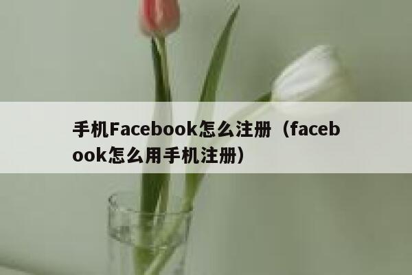 手机Facebook怎么注册（facebook怎么用手机注册） 第1张