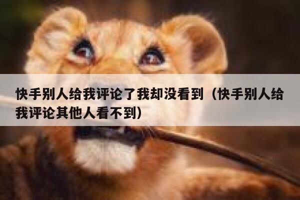 快手别人给我评论了我却没看到（快手别人给我评论其他人看不到） 第1张