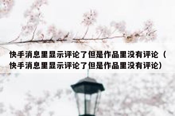 快手消息里显示评论了但是作品里没有评论（快手消息里显示评论了但是作品里没有评论） 第1张