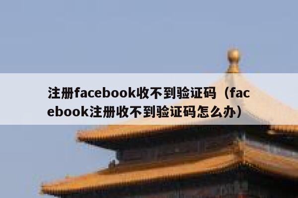 注册facebook收不到验证码（facebook注册收不到验证码怎么办） 第1张
