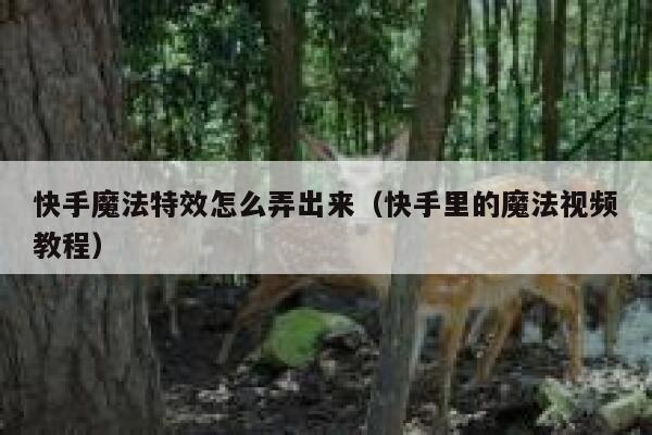 快手魔法特效怎么弄出来（快手里的魔法视频教程） 第1张