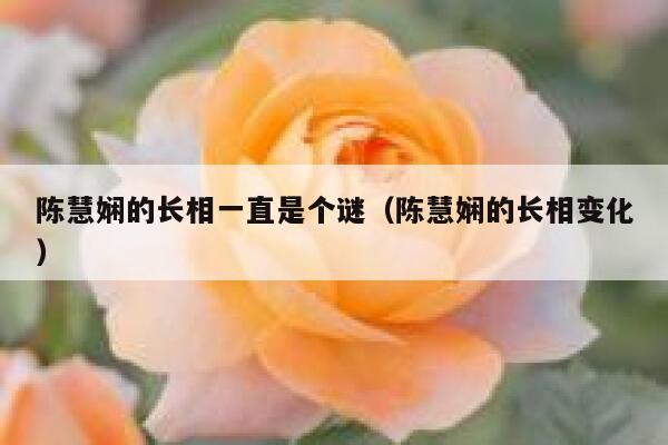 陈慧娴的长相一直是个谜（陈慧娴的长相变化） 第1张