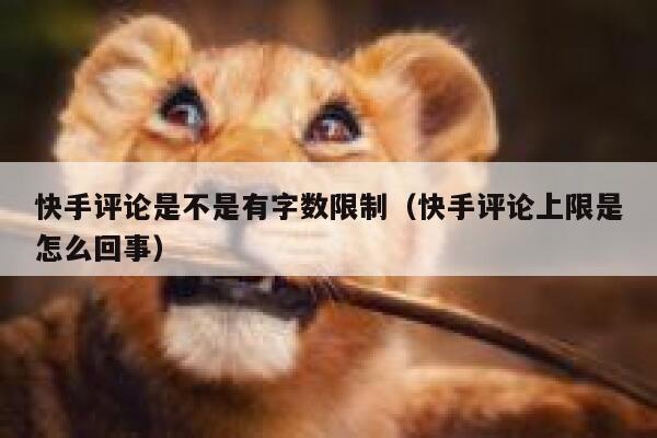 快手评论是不是有字数限制（快手评论上限是怎么回事） 第1张