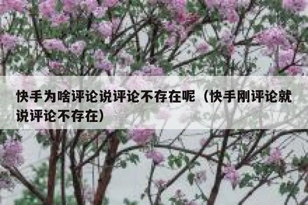 快手为啥评论说评论不存在呢（快手刚评论就说评论不存在） 第1张
