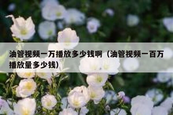 油管视频一万播放多少钱啊（油管视频一百万播放量多少钱） 第1张