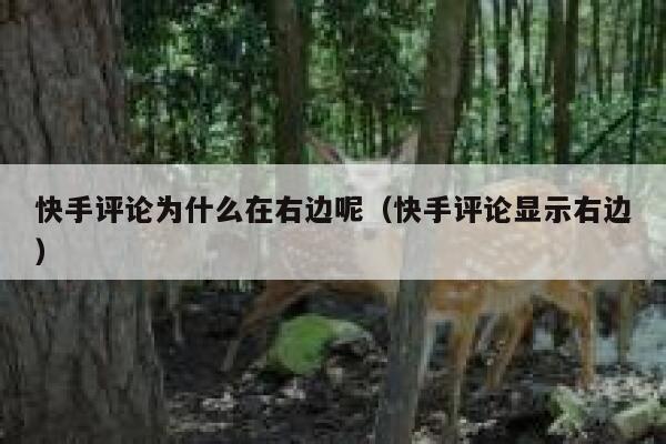 快手评论为什么在右边呢（快手评论显示右边） 第1张