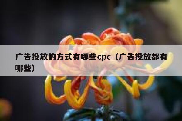 广告投放的方式有哪些cpc(广告投放都有哪些) 第1张 广告投放的方式有哪些cpc(广告投放都有哪些) 第1张