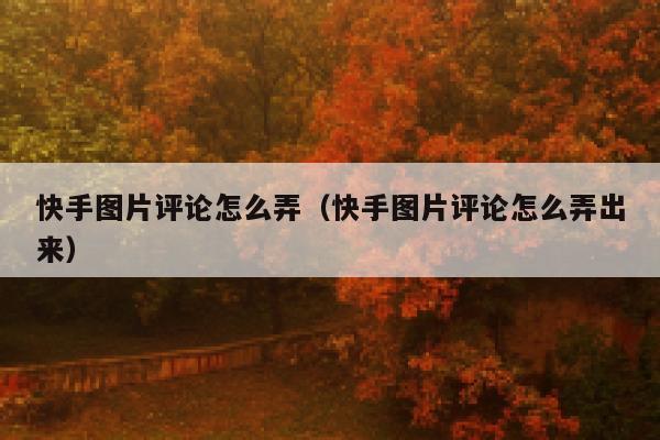 快手图片评论怎么弄(快手图片评论怎么弄出来) 第1张 快手图片评论怎么弄(快手图片评论怎么弄出来) 第1张