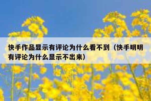 快手作品显示有评论为什么看不到（快手明明有评论为什么显示不出来） 第1张