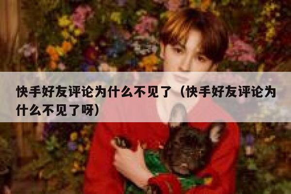 快手好友评论为什么不见了（快手好友评论为什么不见了呀） 第1张