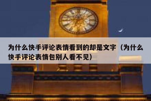 为什么快手评论表情看到的却是文字（为什么快手评论表情包别人看不见） 第1张