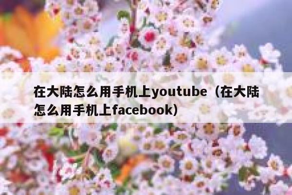在大陆怎么用手机上youtube（在大陆怎么用手机上facebook） 第1张