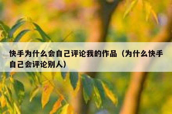 快手为什么会自己评论我的作品（为什么快手自己会评论别人） 第1张