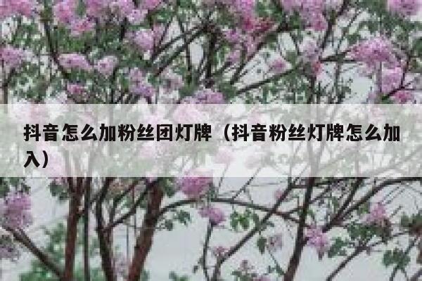 抖音怎么加粉丝团灯牌（抖音粉丝灯牌怎么加入） 第1张