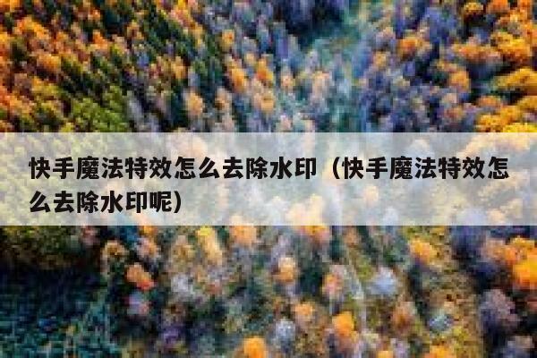 快手魔法特效怎么去除水印（快手魔法特效怎么去除水印呢） 第1张