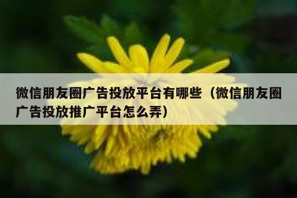 微信朋友圈广告投放平台有哪些（微信朋友圈广告投放推广平台怎么弄） 第1张