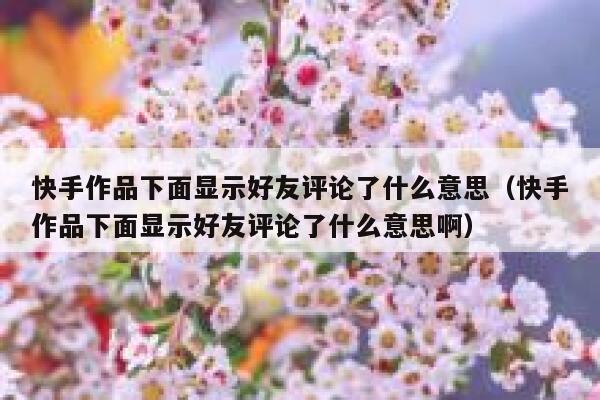快手作品下面显示好友评论了什么意思（快手作品下面显示好友评论了什么意思啊） 第1张