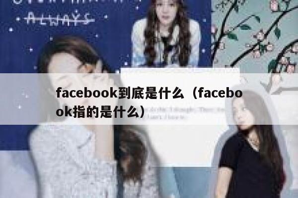 facebook到底是什么（facebook指的是什么） 第1张