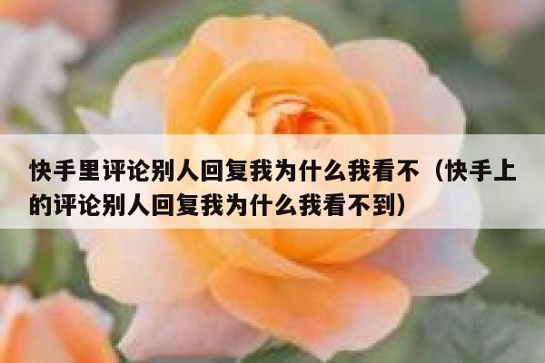 快手里评论别人回复我为什么我看不（快手上的评论别人回复我为什么我看不到） 第1张