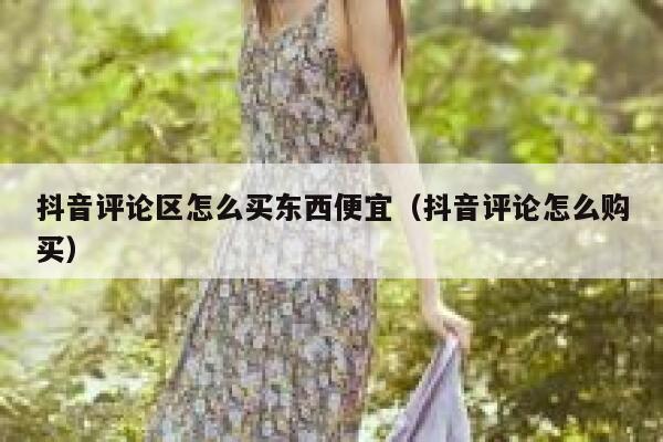 抖音评论区怎么买东西便宜（抖音评论怎么购买） 第1张