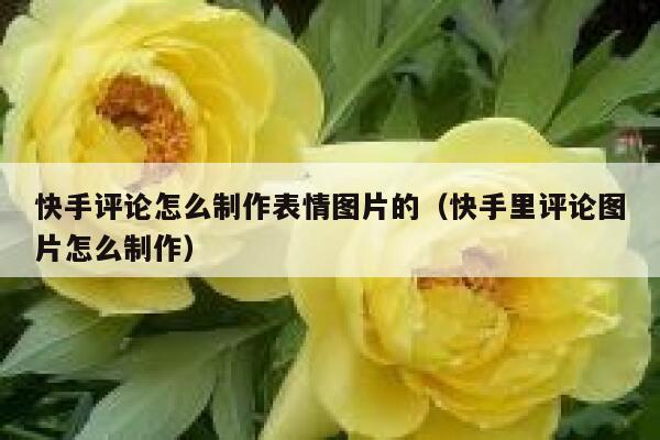 快手评论怎么制作表情图片的（快手里评论图片怎么制作） 第1张