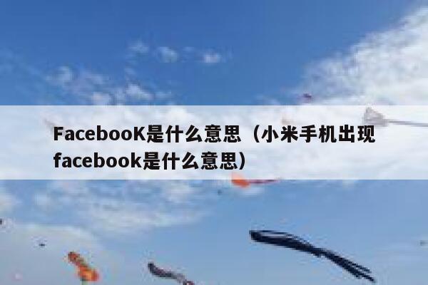 FacebooK是什么意思（小米手机出现facebook是什么意思） 第1张