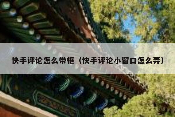 快手评论怎么带框（快手评论小窗口怎么弄） 第1张