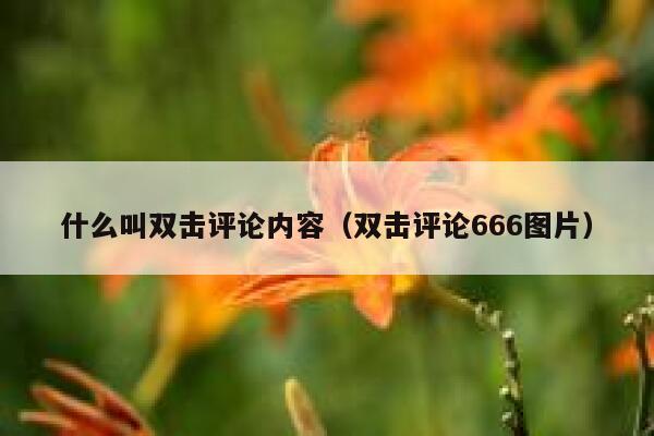 什么叫双击评论内容（双击评论666图片） 第1张