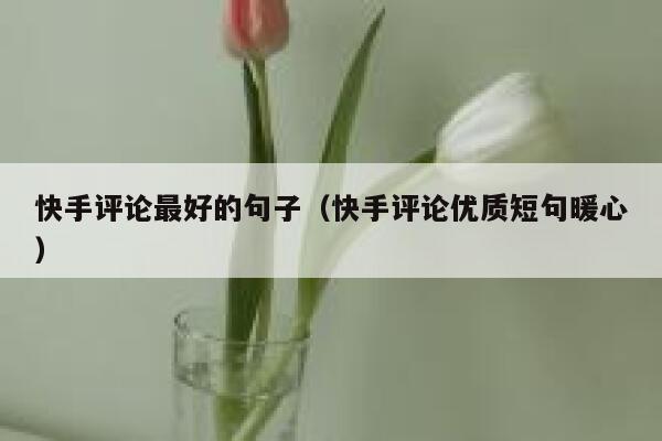 快手评论最好的句子（快手评论优质短句暖心） 第1张