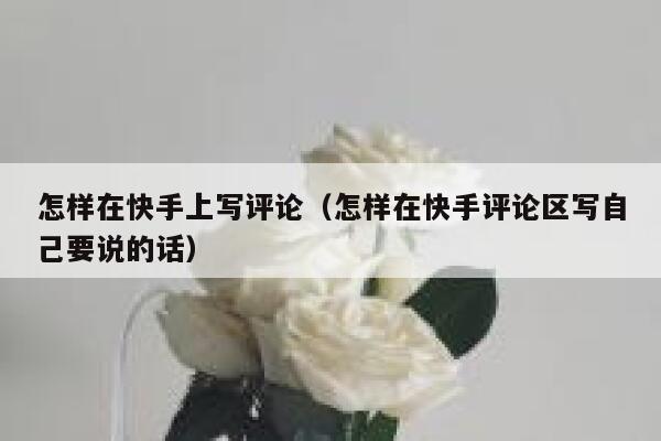 怎样在快手上写评论（怎样在快手评论区写自己要说的话） 第1张