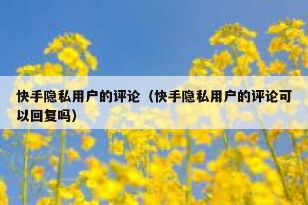 快手隐私用户的评论（快手隐私用户的评论可以回复吗） 第1张