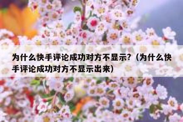 为什么快手评论成功对方不显示?（为什么快手评论成功对方不显示出来） 第1张