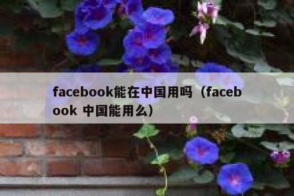 facebook能在中国用吗（facebook 中国能用么） 第1张