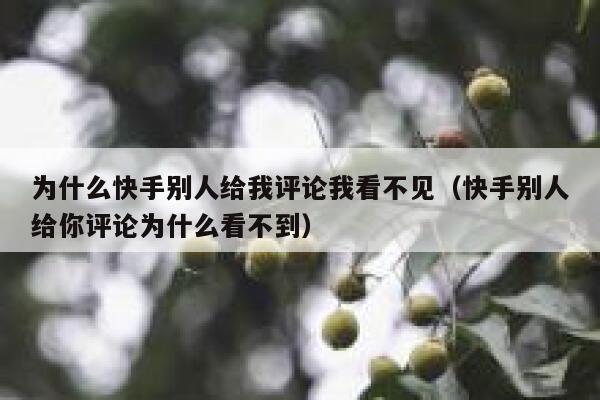 为什么快手别人给我评论我看不见（快手别人给你评论为什么看不到） 第1张