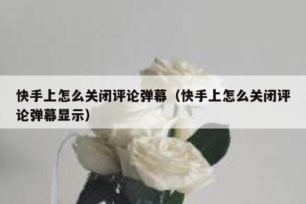 快手上怎么关闭评论弹幕（快手上怎么关闭评论弹幕显示） 第1张