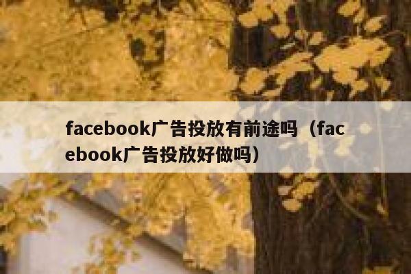 facebook广告投放有前途吗（facebook广告投放好做吗） 第1张